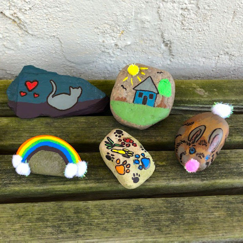 Rocks painted by the Princeton Veterinary Clinic team