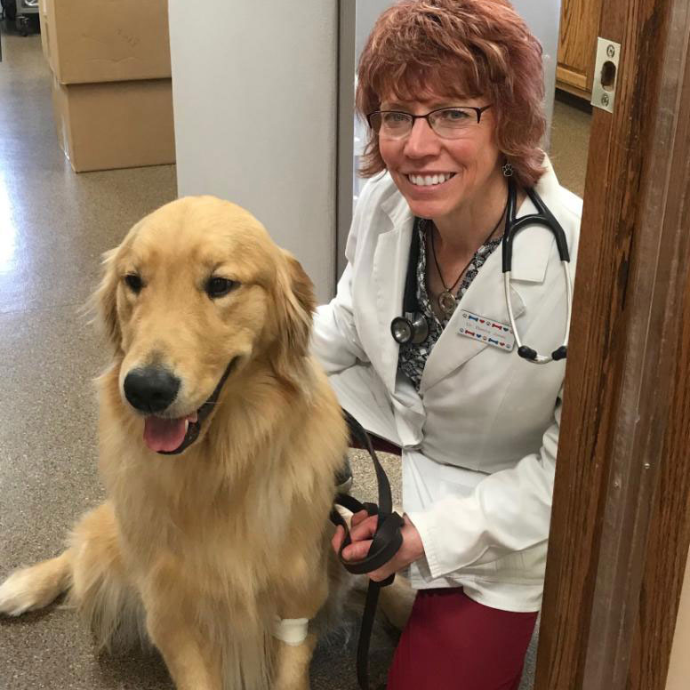 First Puppy Exam, Delphos Animal Hospital - Delphos, OH