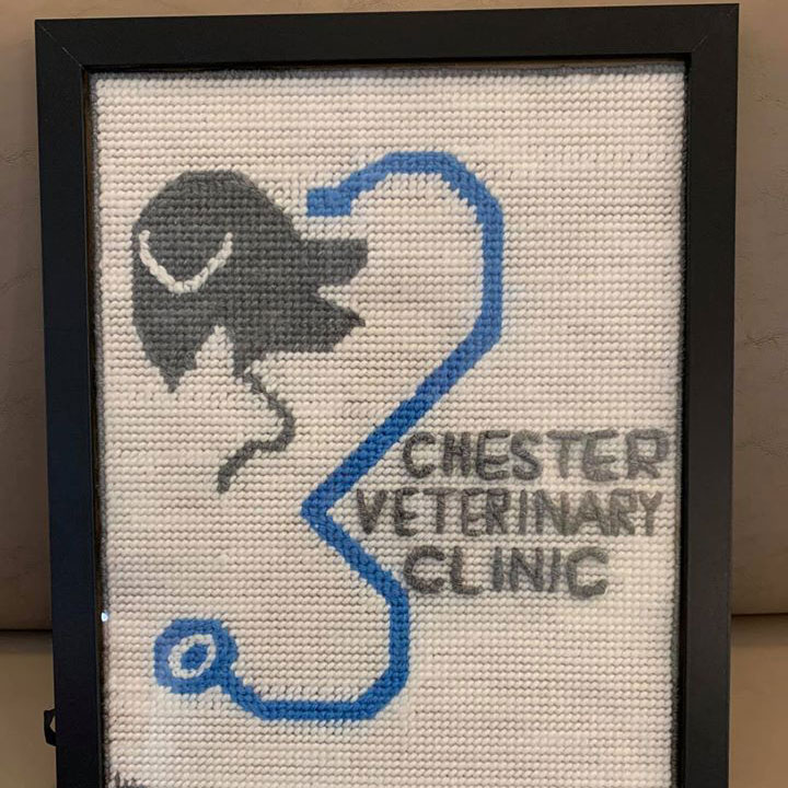 ?Chester Veterinary Clinic - Renovation Project Art