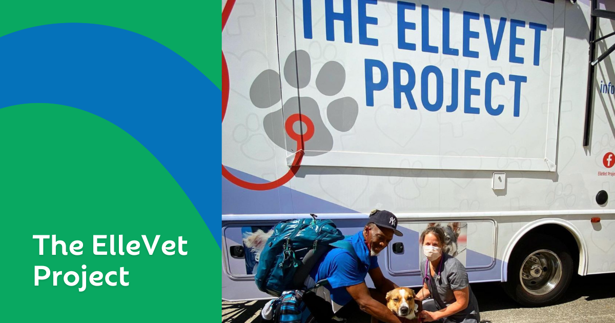 Columbia City Veterinary: The ElleVet Project