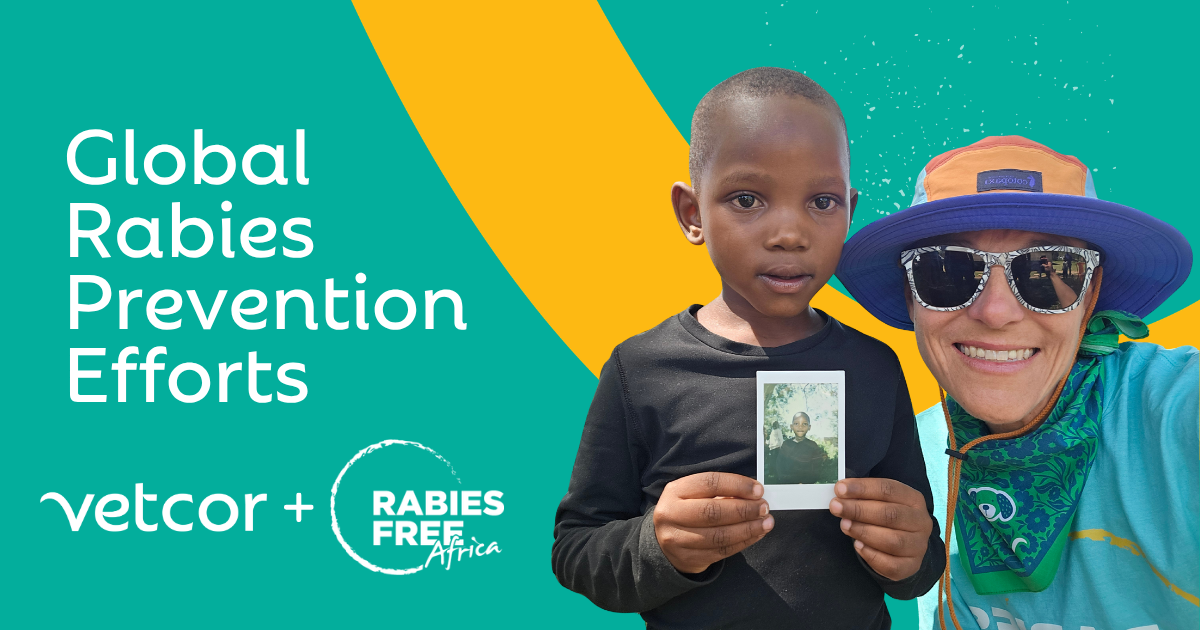 Polo Springs Veterinary Hospital Supports Global Rabies Prevention Efforts