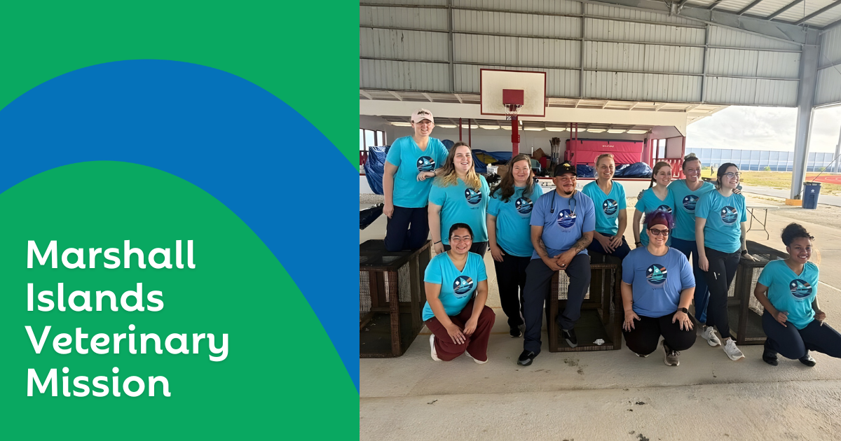 Marshall Islands: Skill-Building and Service