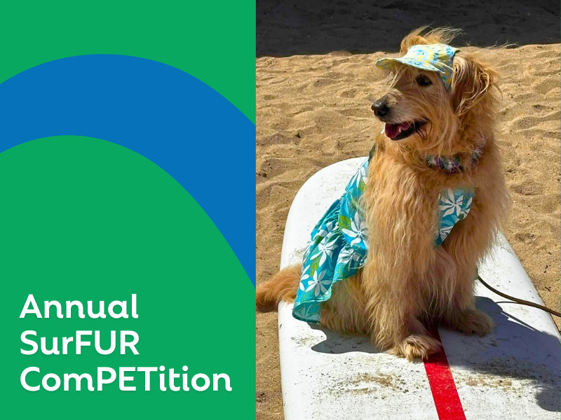 Compassionate Waves: Hawaii Team Provides Care at Annual SurFUR ComPETition