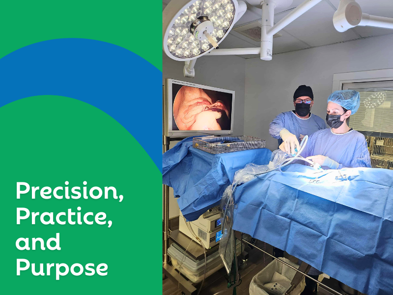 Precision, Practice, and Purpose: Dr. Herron’s Path in Veterinary Laparoscopy