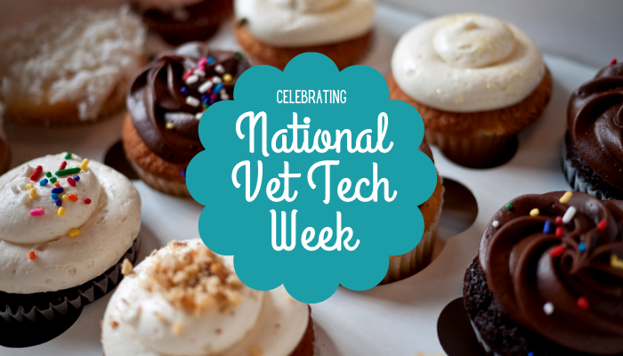 TechLife Takes on National Vet Tech Week