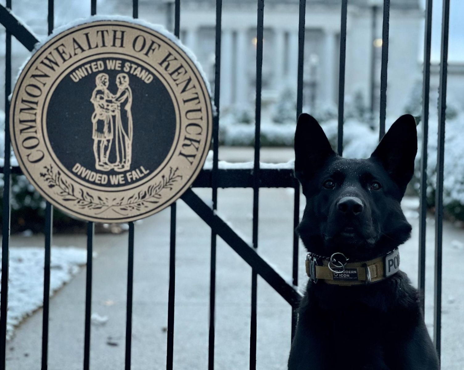 Richmond K-9 Officer