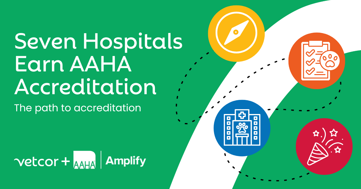 Celebrating Excellence: Seven Vetcor Hospitals Achieve AAHA Accreditation Through the Amplify Program