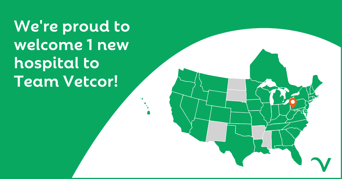 Welcoming A New Hospital to Team Vetcor