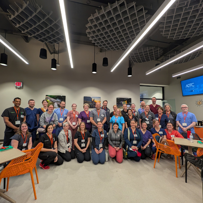 Advanced dental attendees