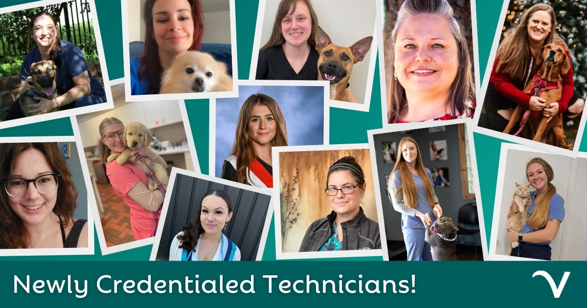 Congratulations to Our Newly Credentialed Vet Techs!