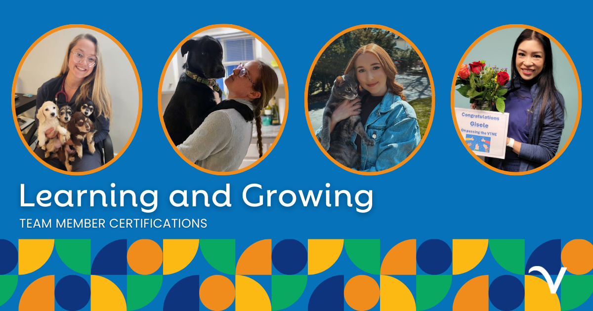 Team Member Certifications