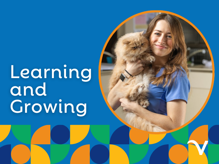 Team Member Certifications