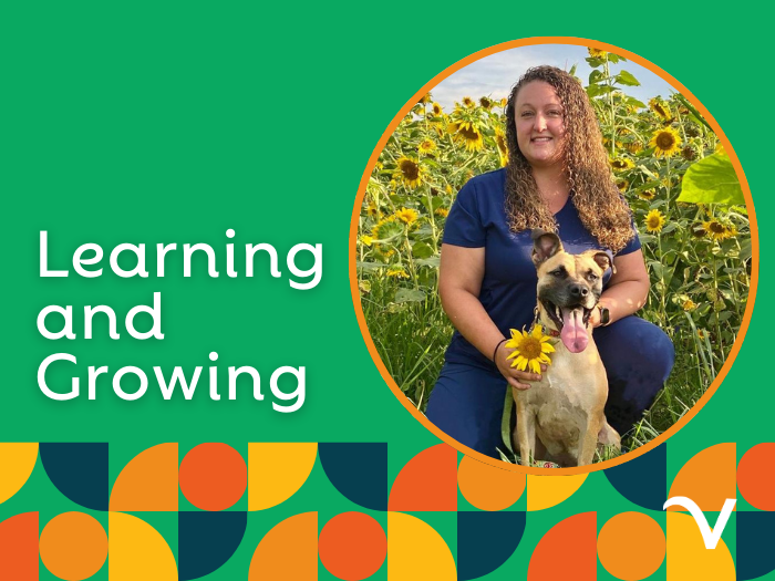 Team Member Certifications