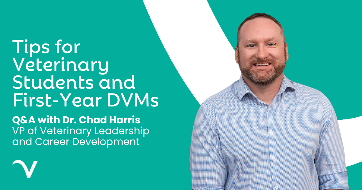 Your Questions, Answered: Tips for Veterinary Students and First-Year Veterinarians