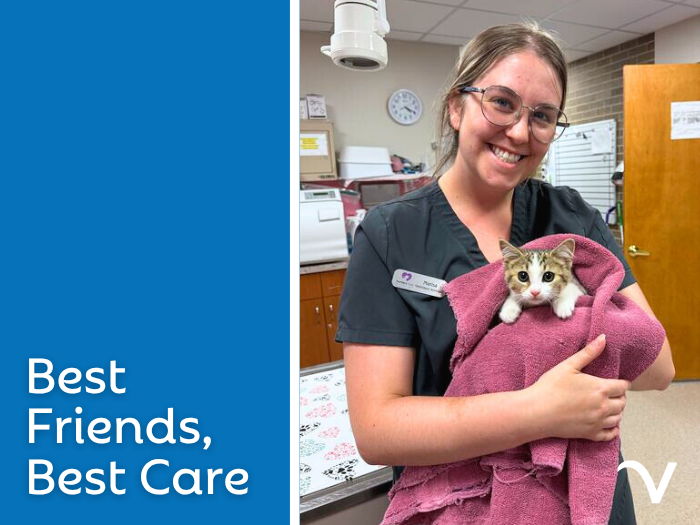 Best Friends, Best Care