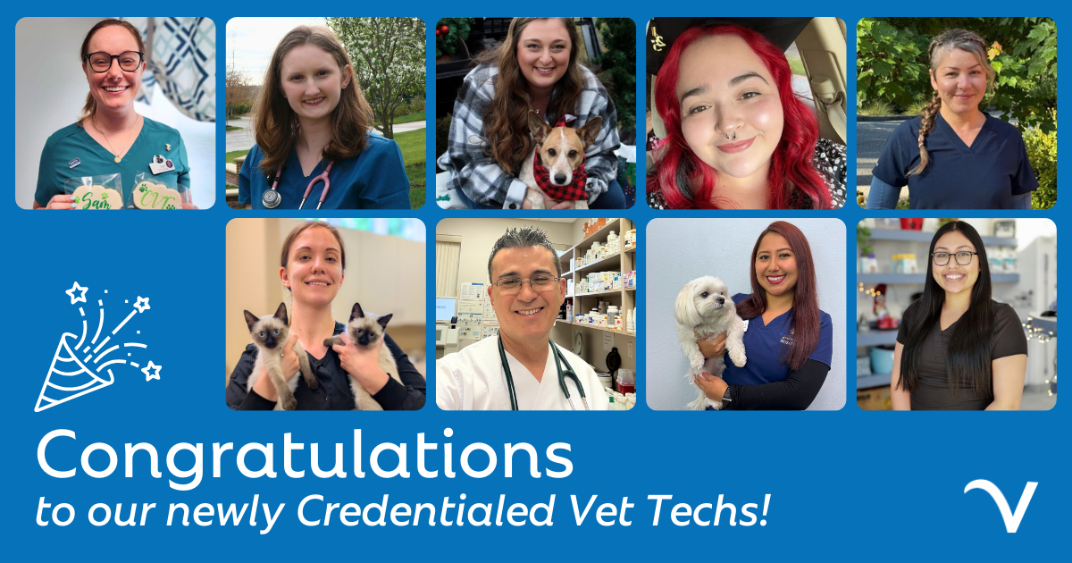 Proud Moments: Meet Our Newly Credentialed Vet Techs!