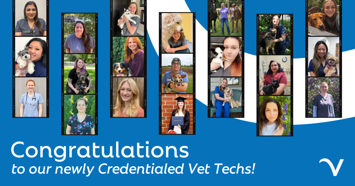 Big Applause for Our Newly Credentialed Vet Techs!