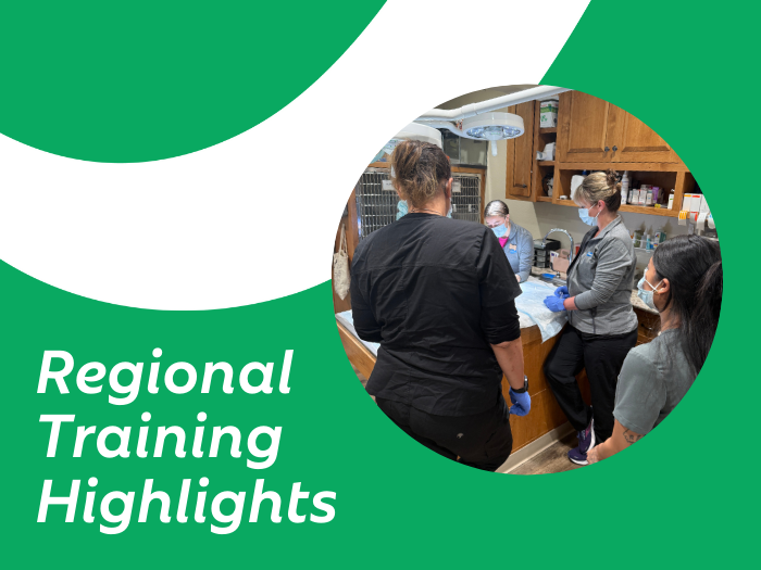 Investing in Education: Regional Dental Training Highlights