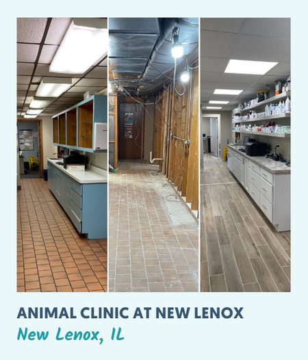 Animal Clinic at New Lenox