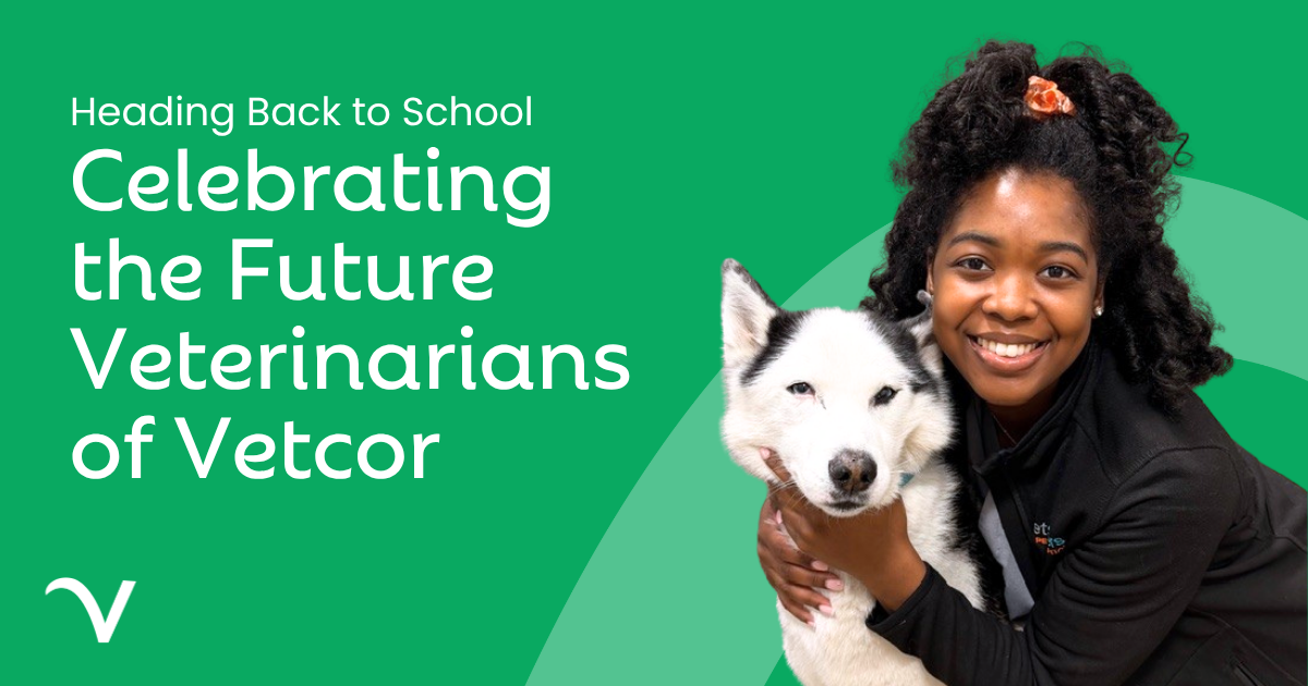 From Hospital Teams to Veterinary School: 69 Vetcor Team Members Take the Next Step into Vet School