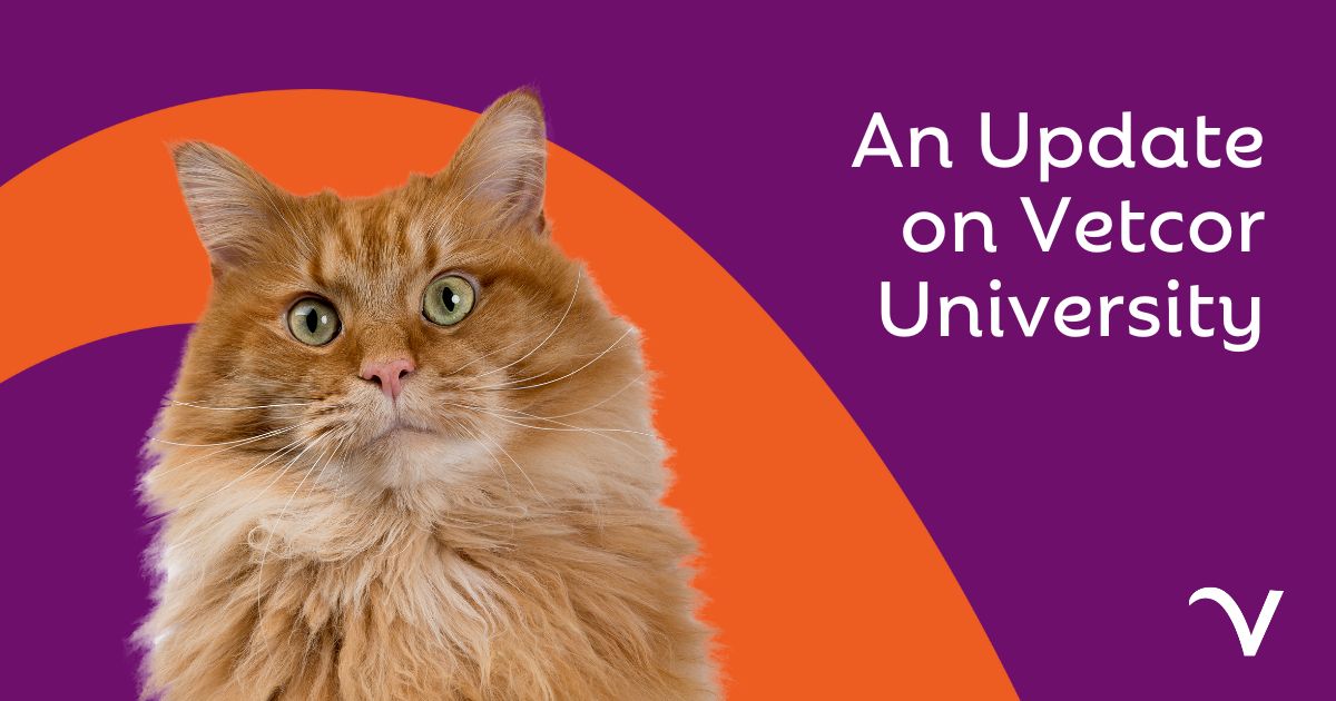 Vetcor University: Making an Impact