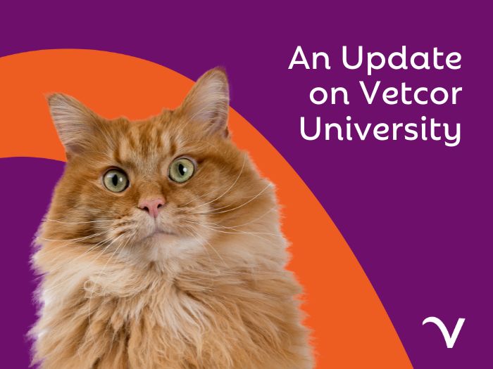 Vetcor University: Making an Impact