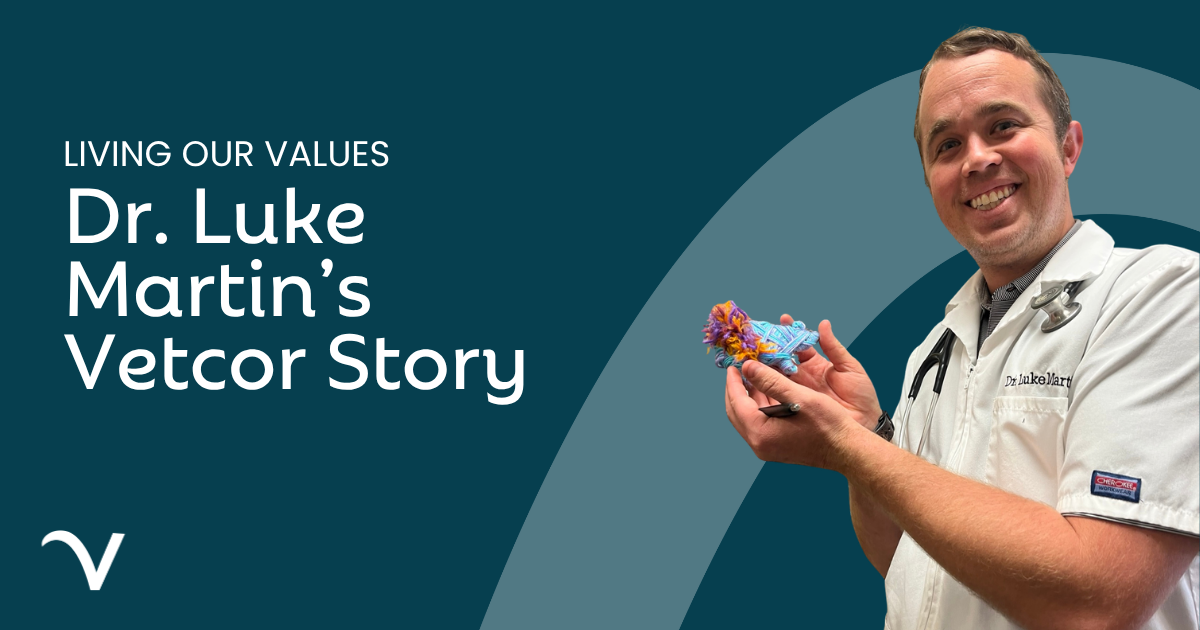 Living Our Values: Dr. Luke Martin’s Vetcor Story