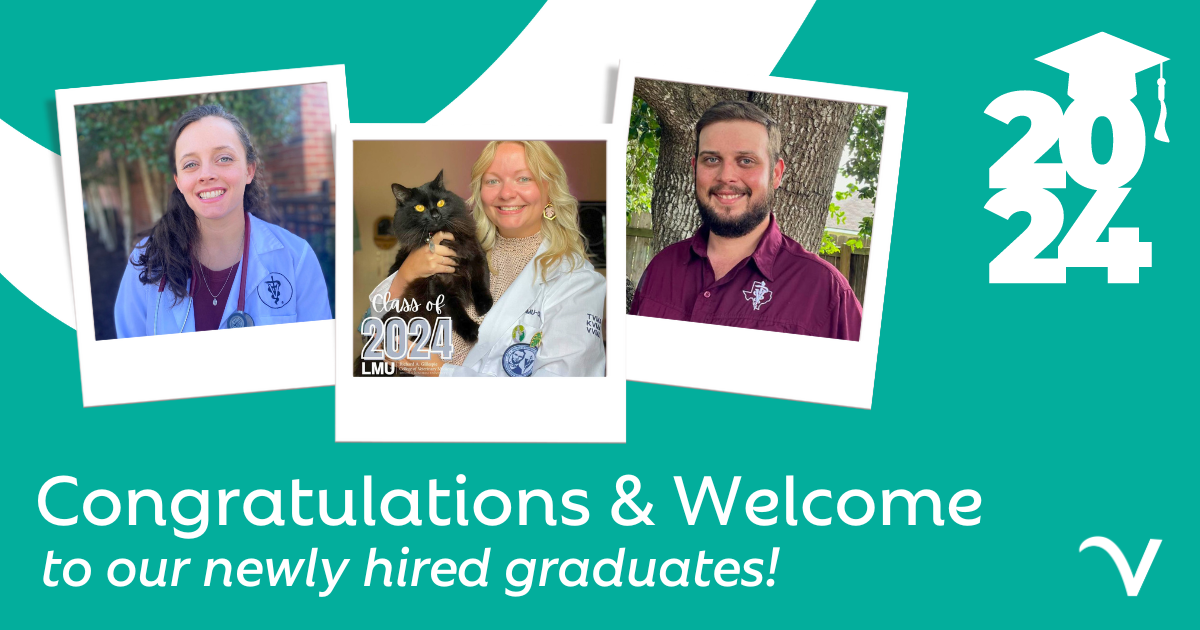 Congratulations to Our New Grad Hires