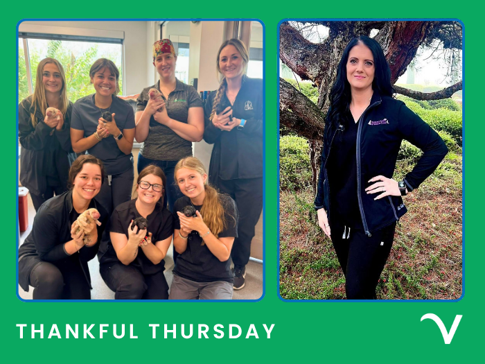 Thankful Thursday: Celebrating Growth, Support, and Extraordinary Teamwork