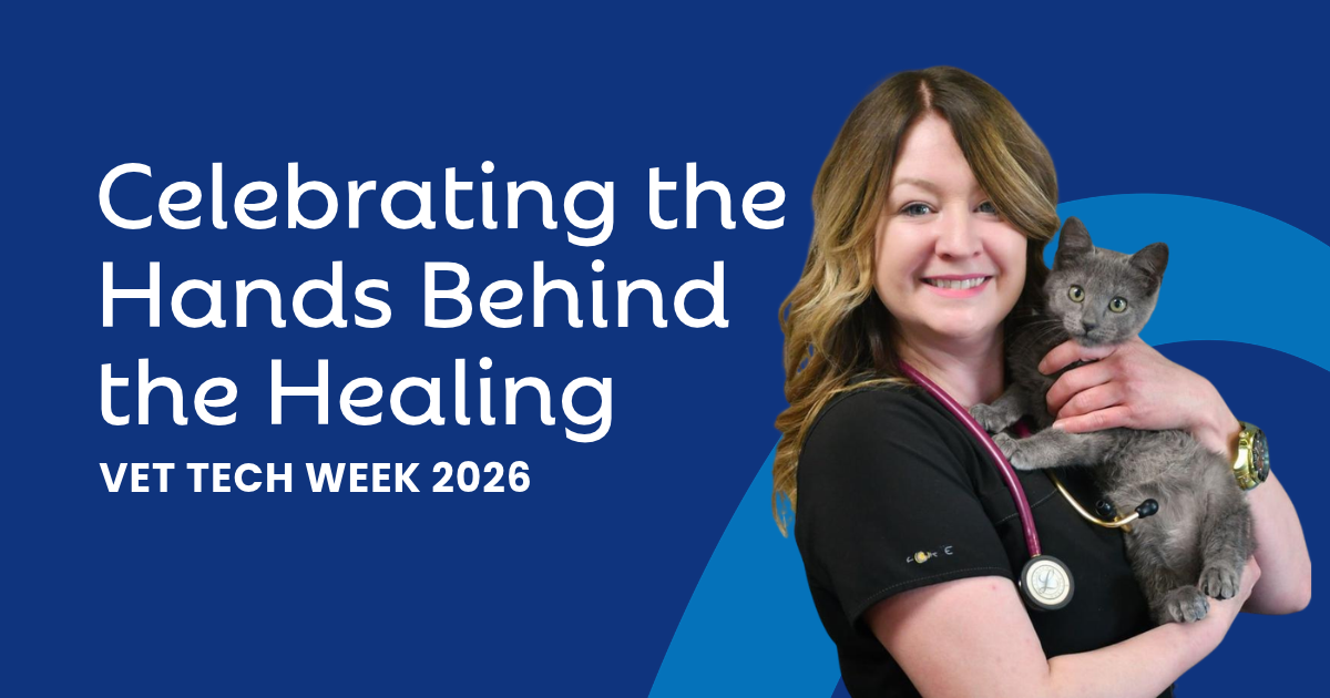 National Veterinary Technician Week: Celebrating the Hands Behind the Healing