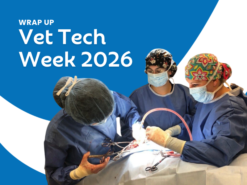Veterinary Technician Week 2026 Wrap Up
