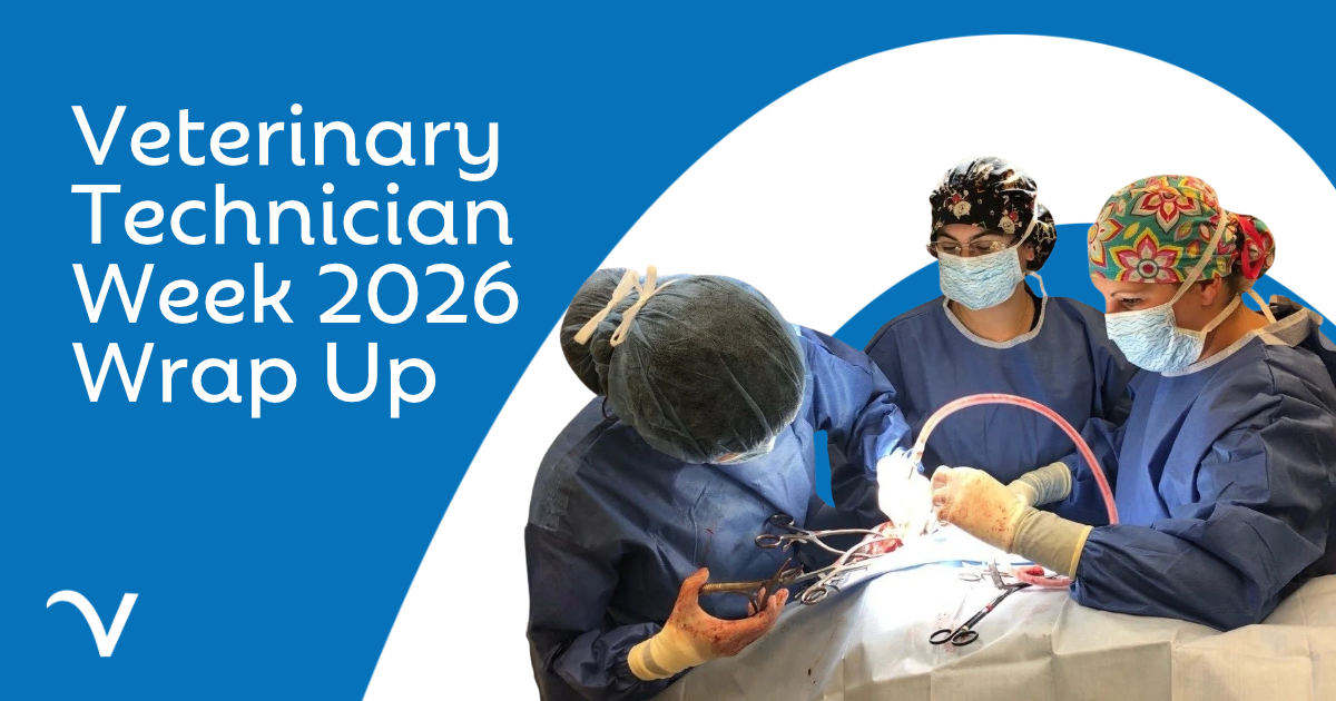 Veterinary Technician Week 2026 Wrap Up