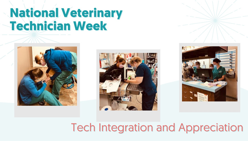 Norton Animal Hospital Recognizes Techs for All They Do