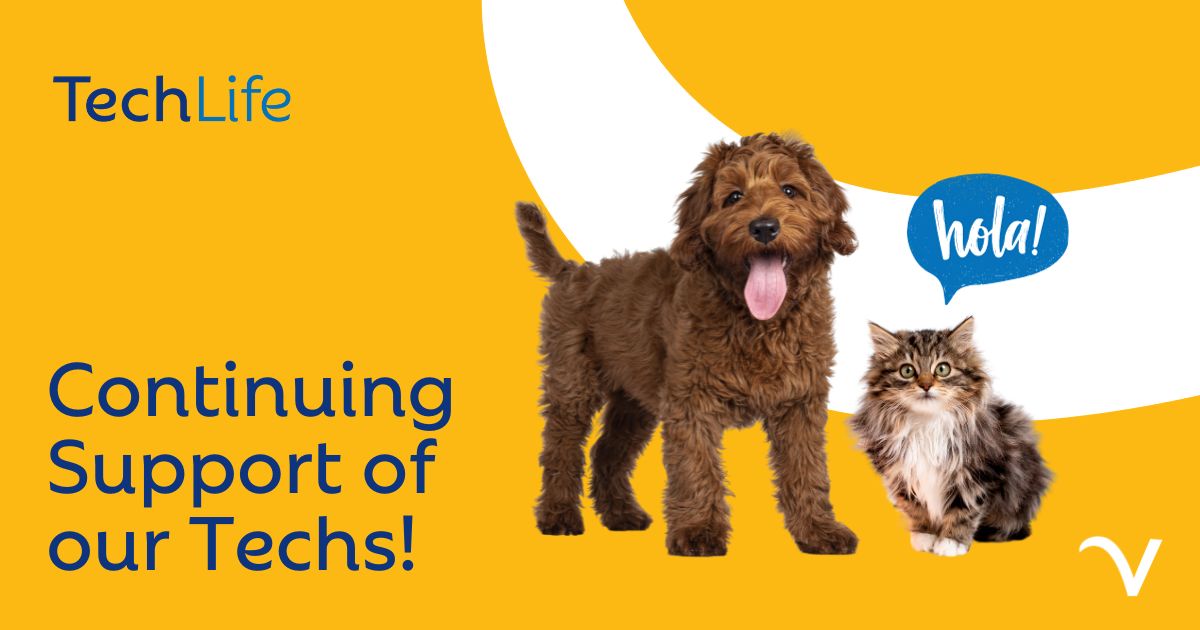 TechLife Update
