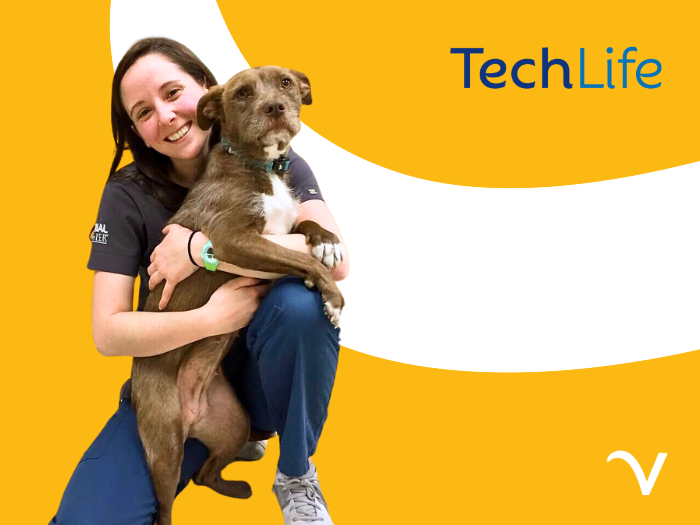 TechLife by the Numbers