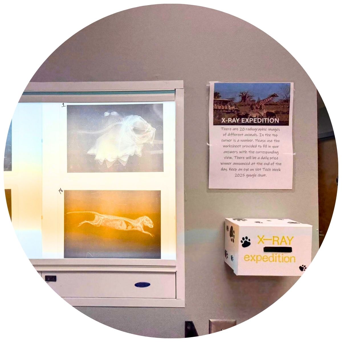 Allied Veterinary Emergency Hospital