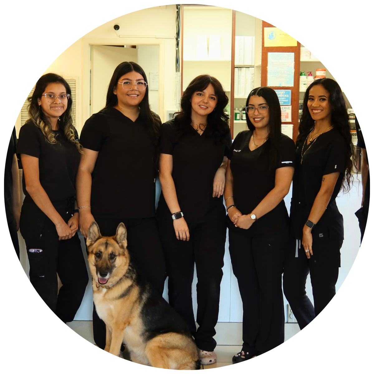 West Phoenix Veterinary Hospital