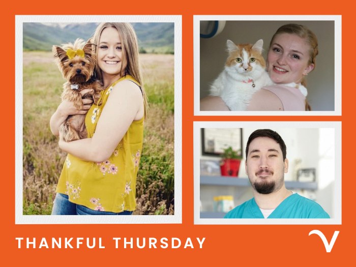 Thankful Thursday: Frightfully Fun Appreciation