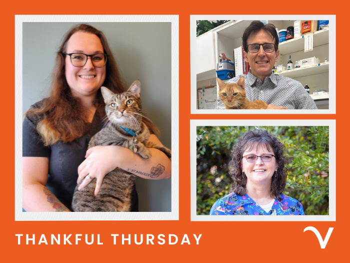 Thankful Thursday: Have Another Helping of Appreciation