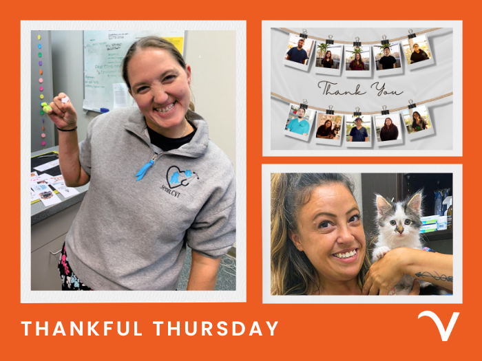 Thankful Thursday: Appreciating 2023