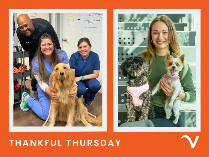 Uplifting Notes from our Team Members