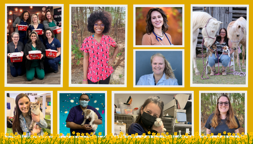 VetCor | Thankful Thursday April