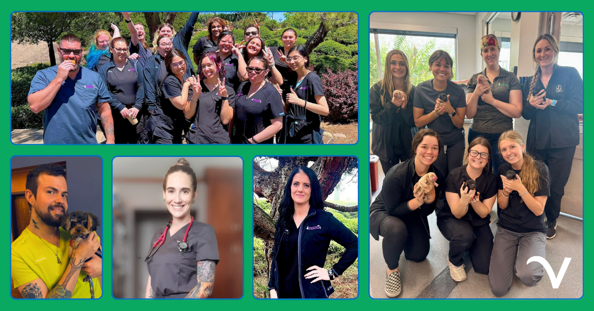 Thankful Thursday: Celebrating Growth, Support, and Extraordinary Teamwork