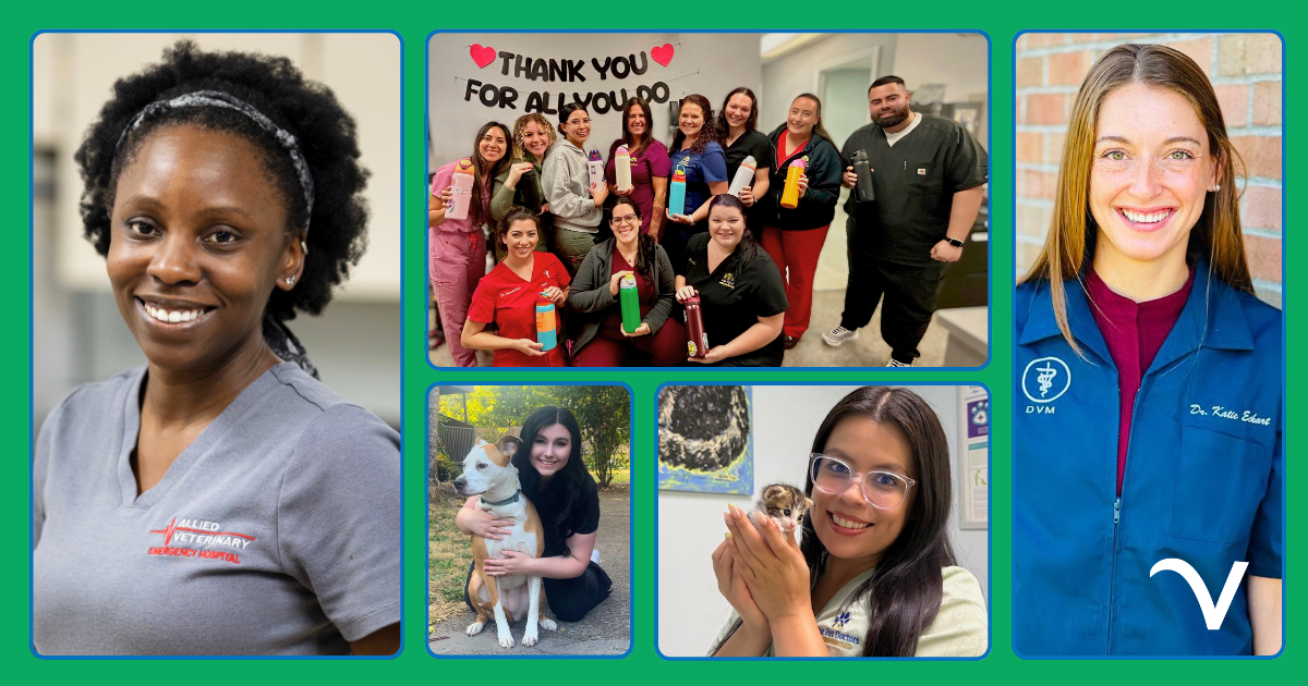 Thankful Thursday: Living Our Values Through Appreciation