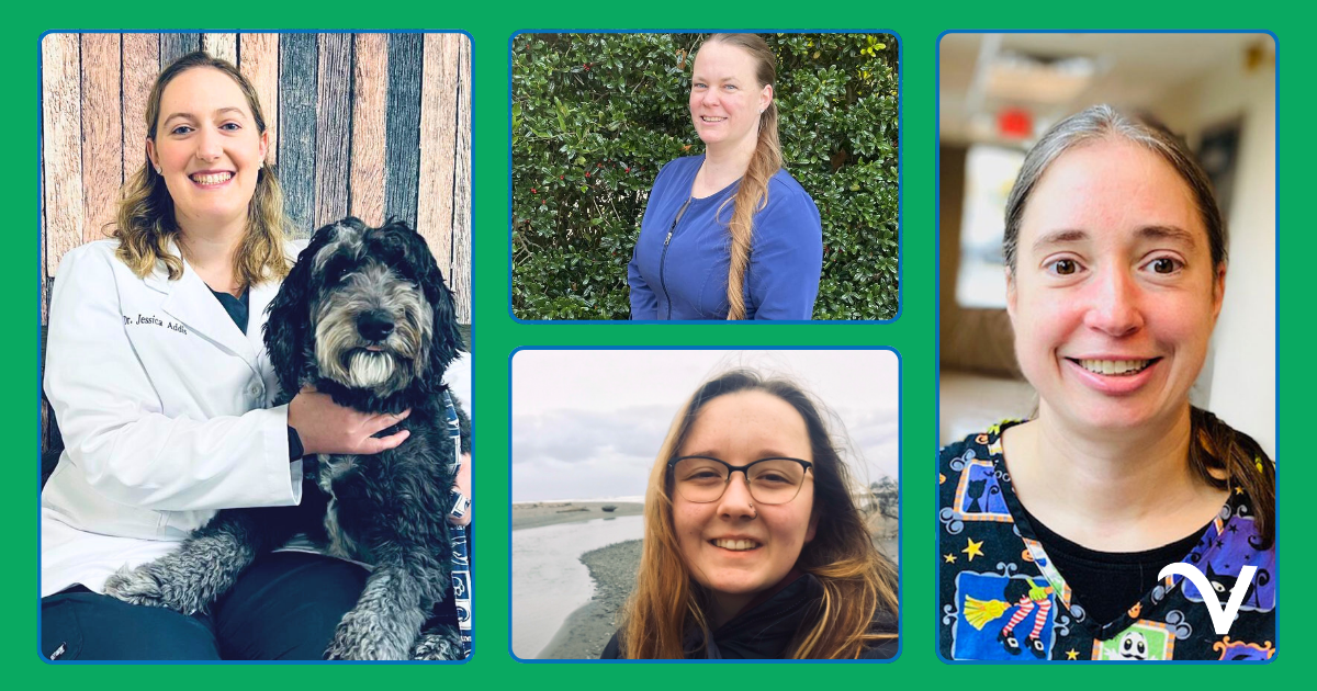 Thankful Thursday: Winter Kudos Across Vetcor