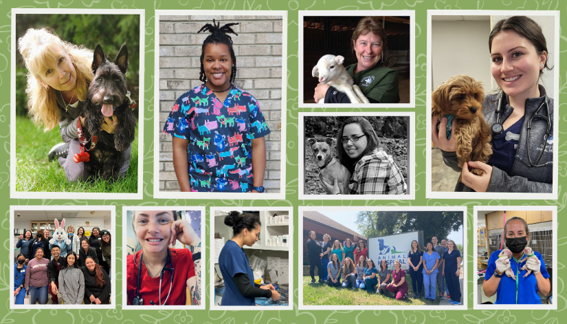 Thankful Thursday: Raining Down Appreciation