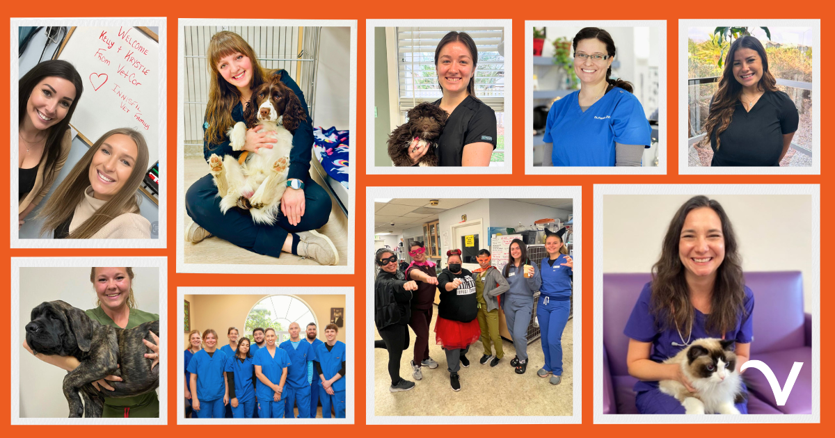 Thankful Thursday: Change of Season but No Change in Appreciation!