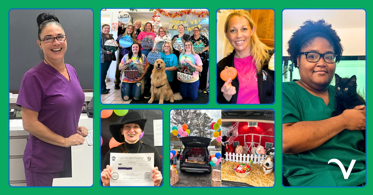 Thankful Thursday:  A Feast of Gratitude