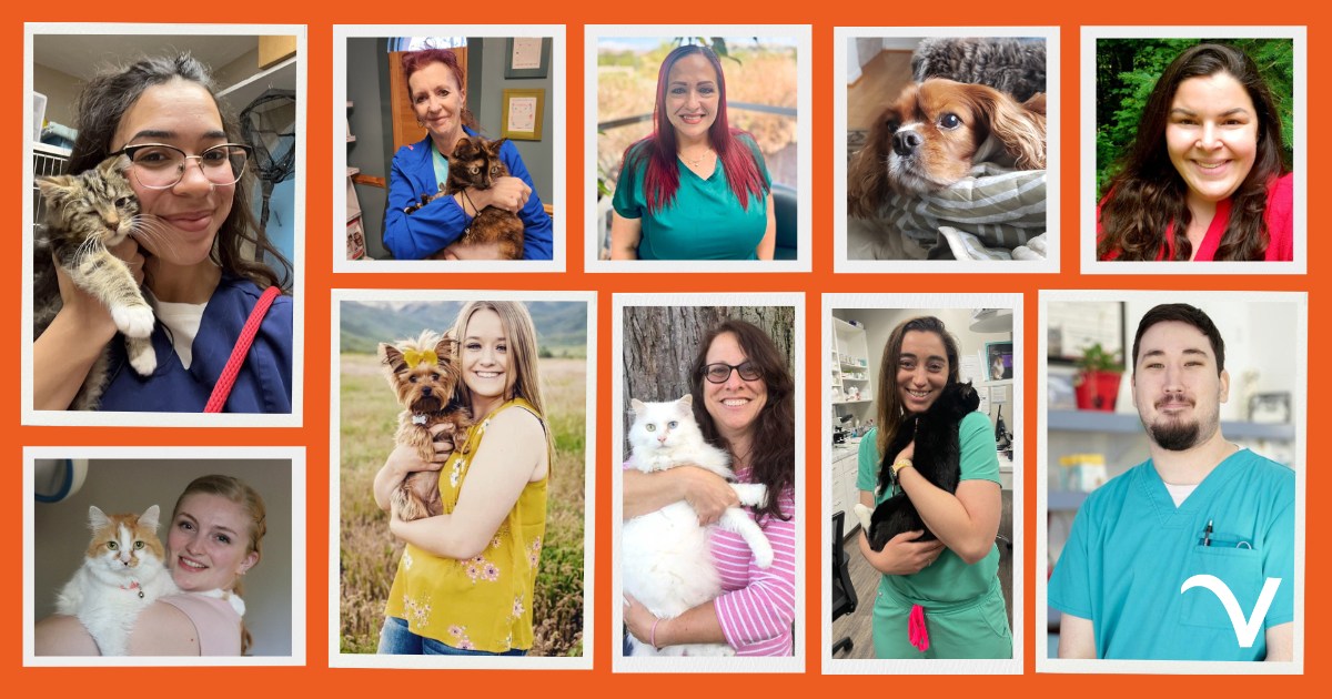 Thankful Thursday: Frightfully Fun Appreciation