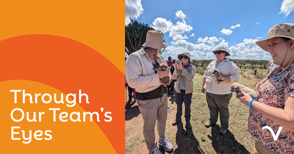 2025 Through Our Team’s Eyes: Stories of Growth, Challenges, Wins, and Reflection